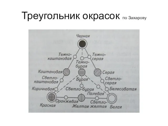 Треугольник окрасок по Захарову