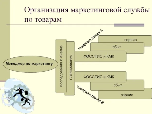 Организация маркетинговой службы по товарам