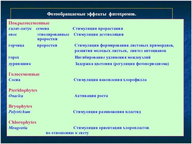 Фотообращаемые эффекты фитохромов. Покрытосеменные салат-латук семена Стимуляция прорастания овес этиолированные Стимуляция
