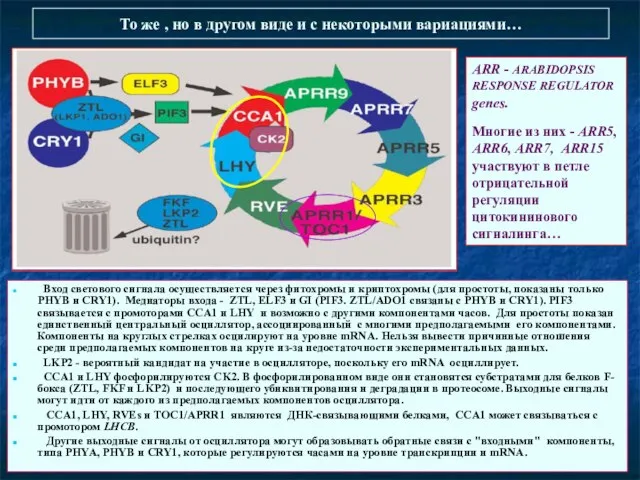 То же , но в другом виде и с некоторыми вариациями…