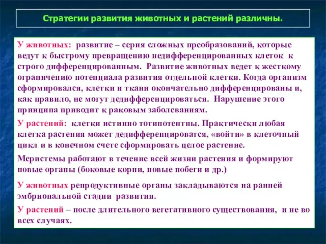 Стратегии развития животных и растений различны. У животных: развитие – серия