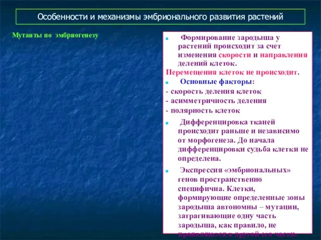 Особенности и механизмы эмбрионального развития растений Формирование зародыша у растений происходит