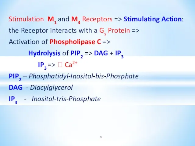 Stimulation M1 and M3 Receptors => Stimulating Action: the Receptor interacts