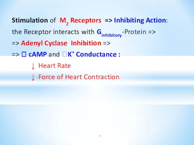 Stimulation of M2 Receptors => Inhibiting Action: the Receptor interacts with