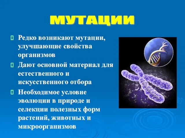 Редко возникают мутации, улучшающие свойства организмов Дают основной материал для естественного