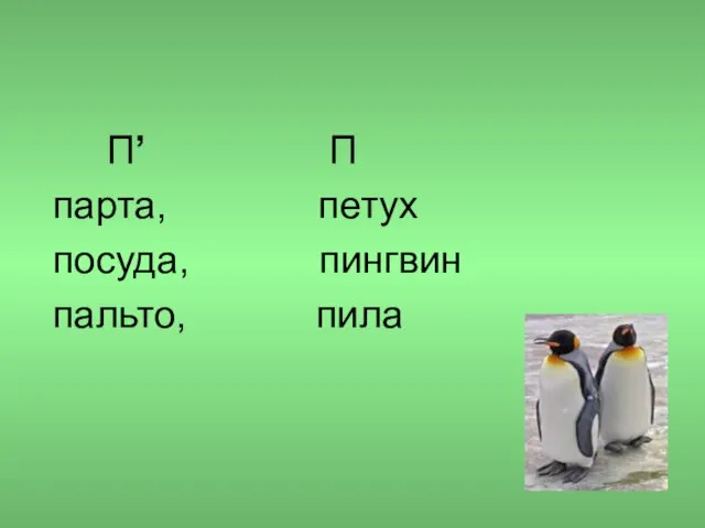 П’ П парта, петух посуда, пингвин пальто, пила