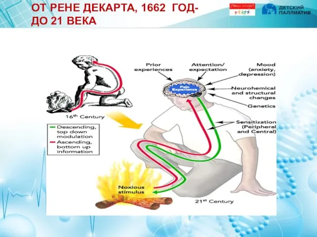 ОТ РЕНЕ ДЕКАРТА, 1662 ГОД- ДО 21 ВЕКА