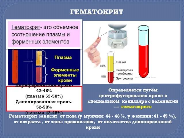 ГЕМАТОКРИТ Периферическая кровь- 42-48% (плазма 52-58%) Депонированная кровь- 52-58% (плазма 42-48%)