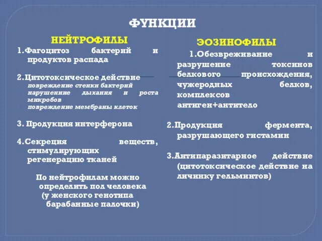 ФУНКЦИИ НЕЙТРОФИЛЫ ЭОЗИНОФИЛЫ 1.Фагоцитоз бактерий и продуктов распада 2.Цитотоксическое действие повреждение