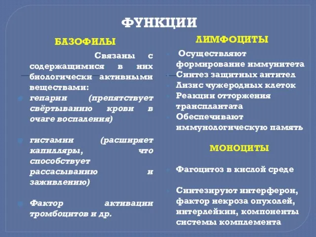 ФУНКЦИИ БАЗОФИЛЫ ЛИМФОЦИТЫ Связаны с содержащимися в них биологически активными веществами: