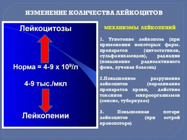 МЕХАНИЗМЫ ЛЕЙКОПЕНИЙ 1. Угнетение лейкопоэа (при применении некоторых фарм.препаратов (цитостатиков, сульфаниламидов),