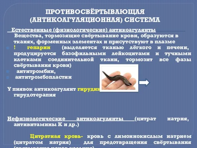 ПРОТИВОСВЁPТЫВАЮЩАЯ (АНТИКОАГУЛЯЦИОННАЯ) СИСТЕМА Естественные (физиологические) антикоагулянты Вещества, тоpмозящие свёpтывание кpови, обpазуются