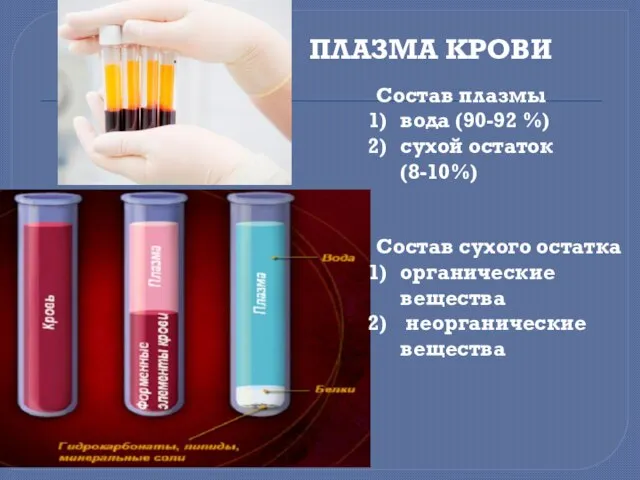 ПЛАЗМА КРОВИ Состав плазмы вода (90-92 %) ‏ сухой остаток (8-10%)