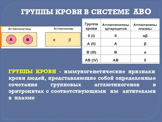 ГРУППЫ КРОВИ В СИСТЕМЕ АВО ГРУППЫ КРОВИ - иммуногенетические признаки крови