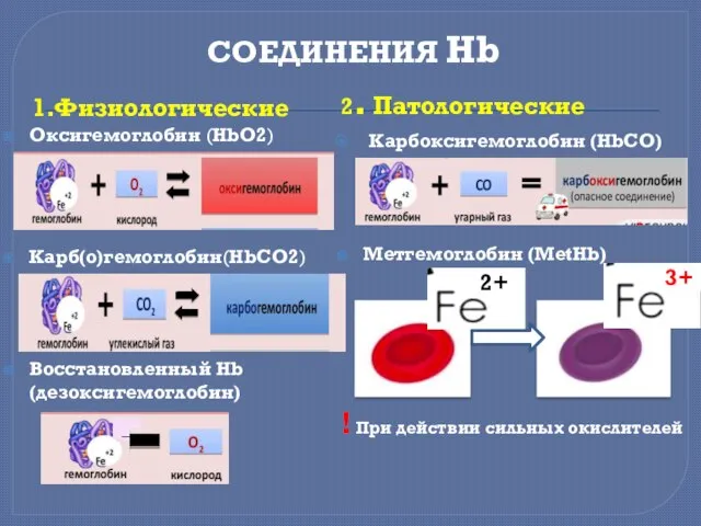 СОЕДИНЕНИЯ Нb 1.Физиологические Оксигемоглобин (HbО2) Карб(о)гемоглобин(HbСО2) Восстановленный Hb (дезоксигемоглобин) 2. Патологические