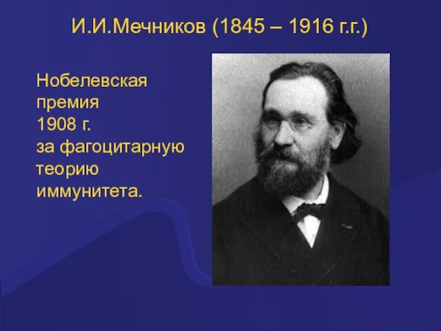 И.И.Мечников (1845 – 1916 г.г.) Нобелевская премия 1908 г. за фагоцитарную теорию иммунитета.