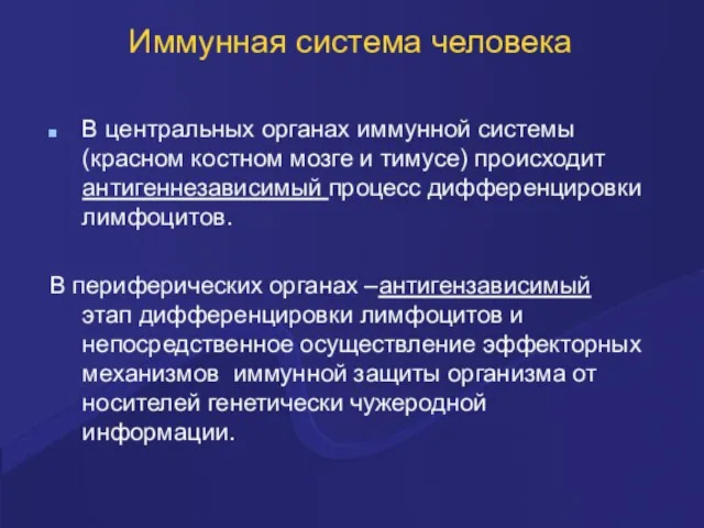 Иммунная система человека В центральных органах иммунной системы (красном костном мозге