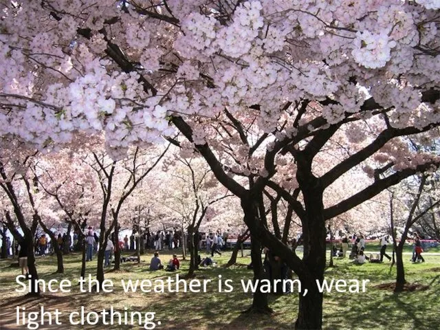 Since the weather is warm, wear light clothing.