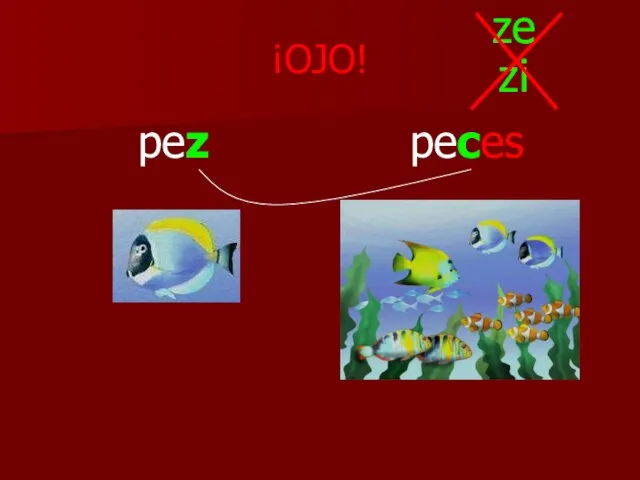 ¡OJO! pez peces ze zi