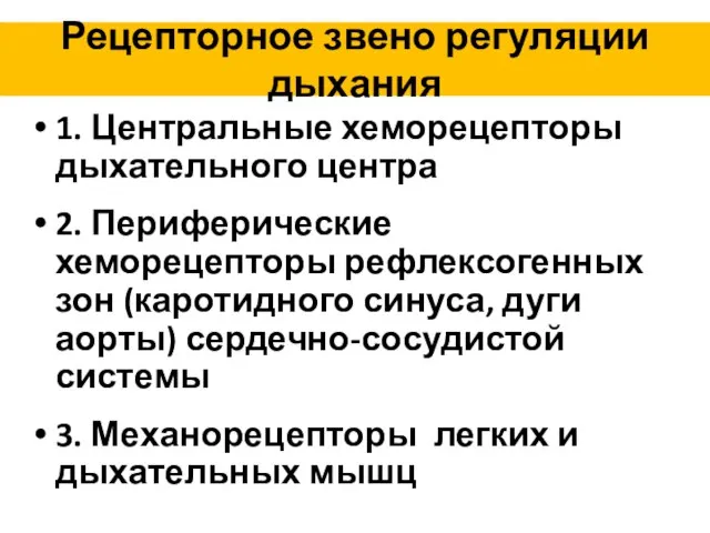 Рецепторное звено регуляции дыхания 1. Центральные хеморецепторы дыхательного центра 2. Периферические