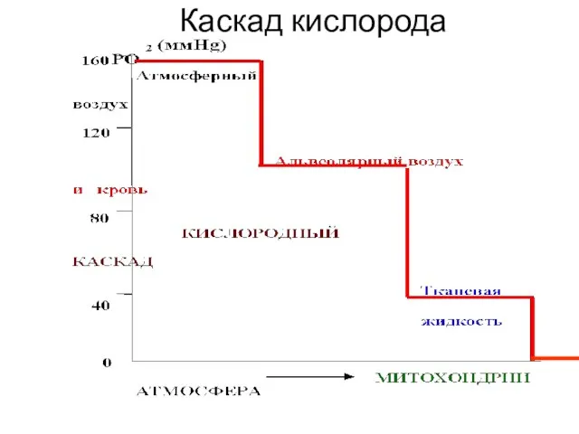 Каскад кислорода