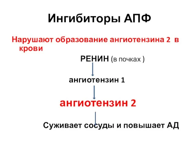 Ингибиторы АПФ Нарушают образование ангиотензина 2 в крови РЕНИН (в почках