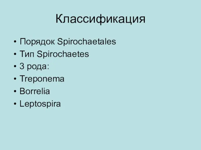 Классификация Порядок Spirochaetales Тип Spirochaetes 3 рода: Treponema Borrelia Leptospira