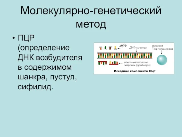 Молекулярно-генетический метод ПЦР (определение ДНК возбудителя в содержимом шанкра, пустул, сифилид.