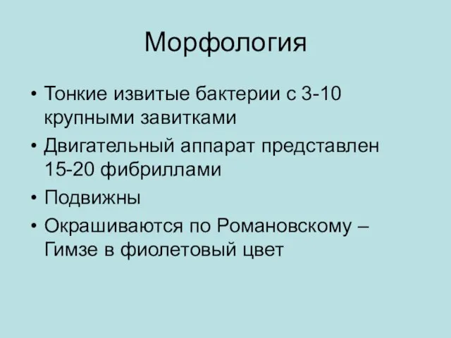 Морфология Тонкие извитые бактерии с 3-10 крупными завитками Двигательный аппарат представлен