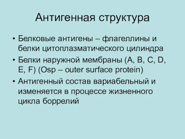 Антигенная структура Белковые антигены – флагеллины и белки цитоплазматического цилиндра Белки