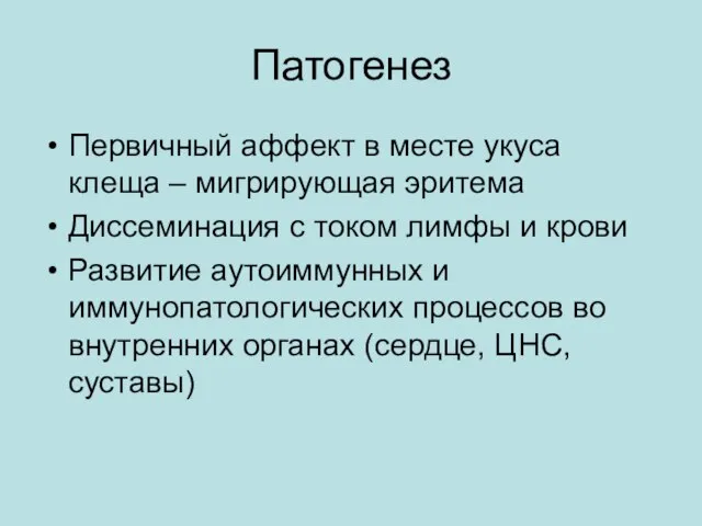 Патогенез Первичный аффект в месте укуса клеща – мигрирующая эритема Диссеминация