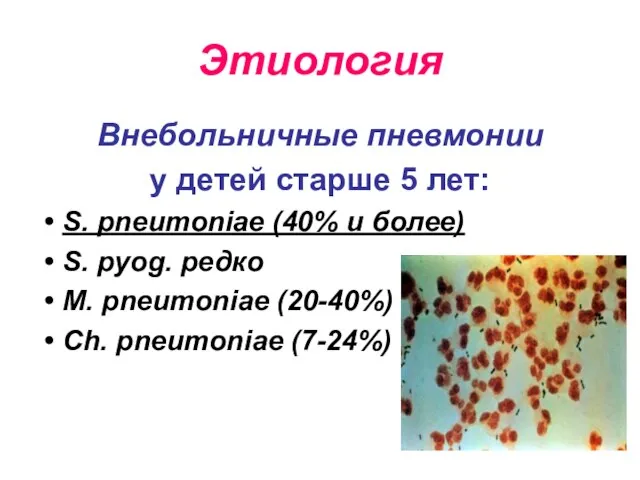 Этиология Внебольничные пневмонии у детей старше 5 лет: S. pneumoniae (40%