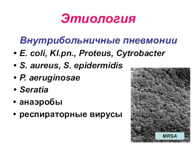 Этиология Внутрибольничные пневмонии E. coli, Kl.pn., Proteus, Cytrobacter S. aureus, S.