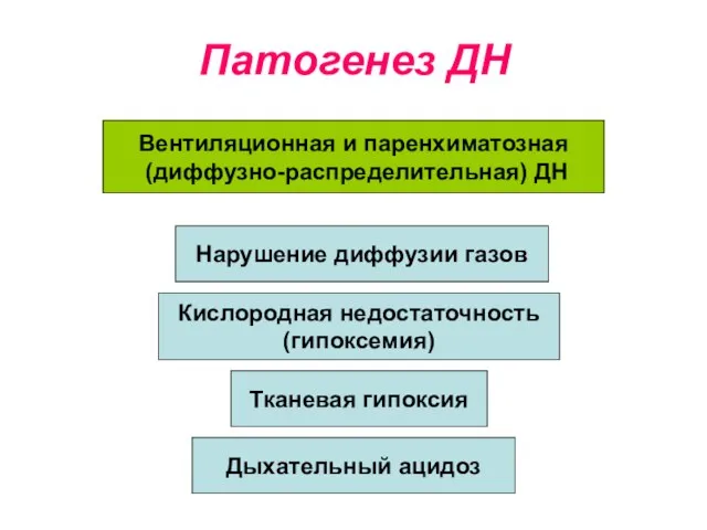 Патогенез ДН Кислородная недостаточность (гипоксемия) Тканевая гипоксия Дыхательный ацидоз Вентиляционная и