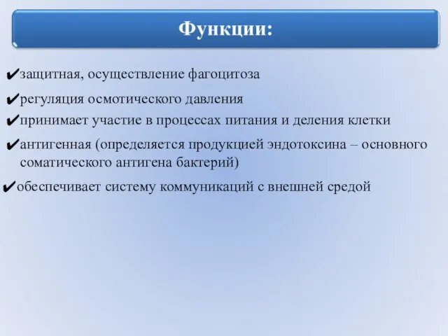 защитная, осуществление фагоцитоза регуляция осмотического давления принимает участие в процессах питания