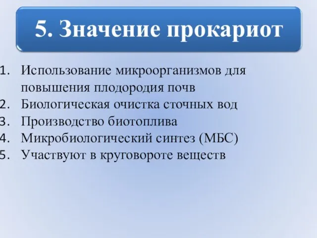 Использование микроорганизмов для повышения плодородия почв Биологическая очистка сточных вод Производство