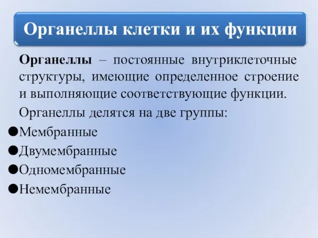 Органеллы – постоянные внутриклеточные структуры, имеющие определенное строение и выполняющие соответствующие