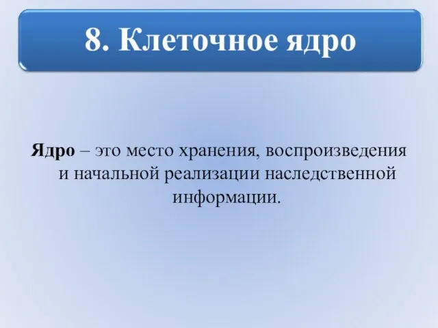 Ядро – это место хранения, воспроизведения и начальной реализации наследственной информации.