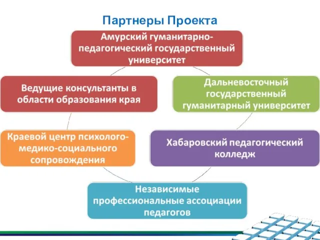 Партнеры Проекта