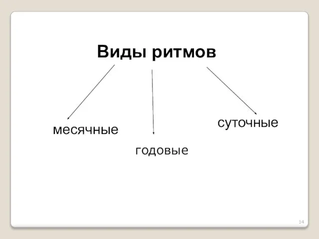 Виды ритмов месячные суточные Г годовые огггчные