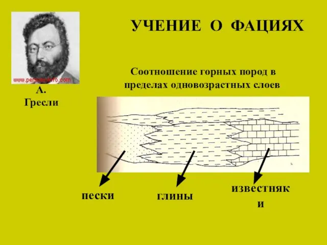 УЧЕНИЕ О ФАЦИЯХ пески глины известняки А. Гресли Соотношение горных пород в пределах одновозрастных слоев