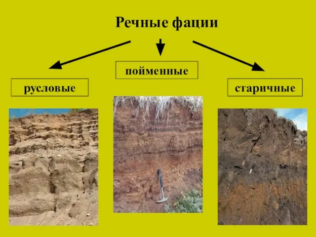 Речные фации русловые пойменные старичные