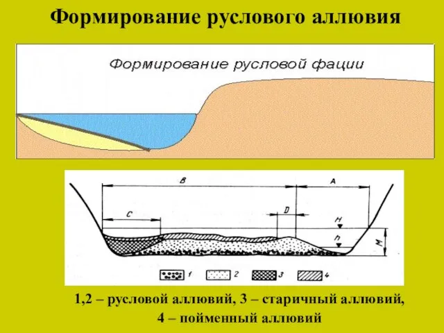 Формирование руслового аллювия 1,2 – русловой аллювий, 3 – старичный аллювий, 4 – пойменный аллювий