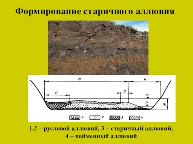 1,2 – русловой аллювий, 3 – старичный аллювий, 4 – пойменный аллювий Формирование старичного аллювия