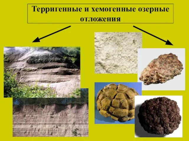 Терригенные и хемогенные озерные отложения