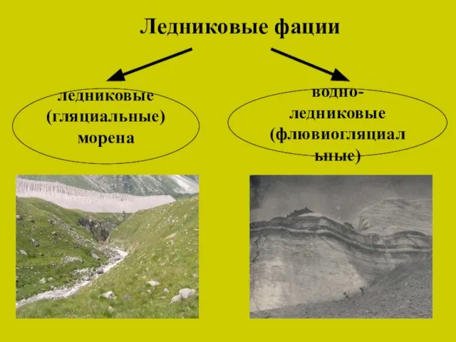 Ледниковые фации ледниковые (гляциальные) морена водно-ледниковые (флювиогляциальные)