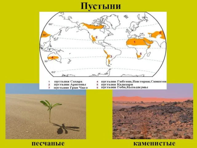 Пустыни песчаные каменистые