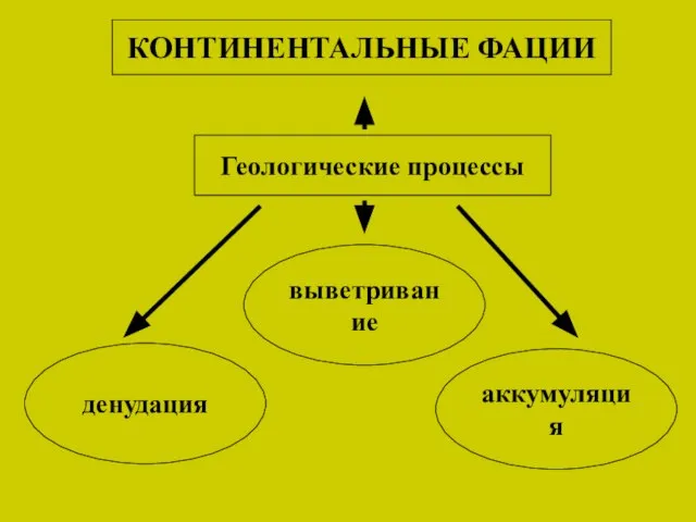 КОНТИНЕНТАЛЬНЫЕ ФАЦИИ Геологические процессы выветривание денудация аккумуляция