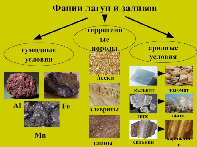 Фации лагун и заливов гумидные условия терригенные породы аридные условия Al