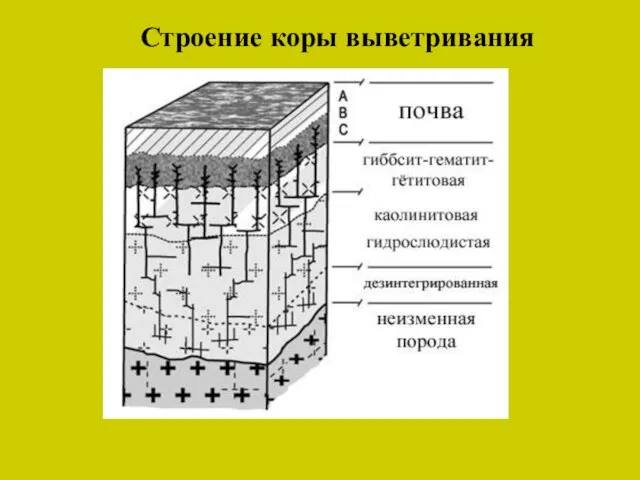 Строение коры выветривания